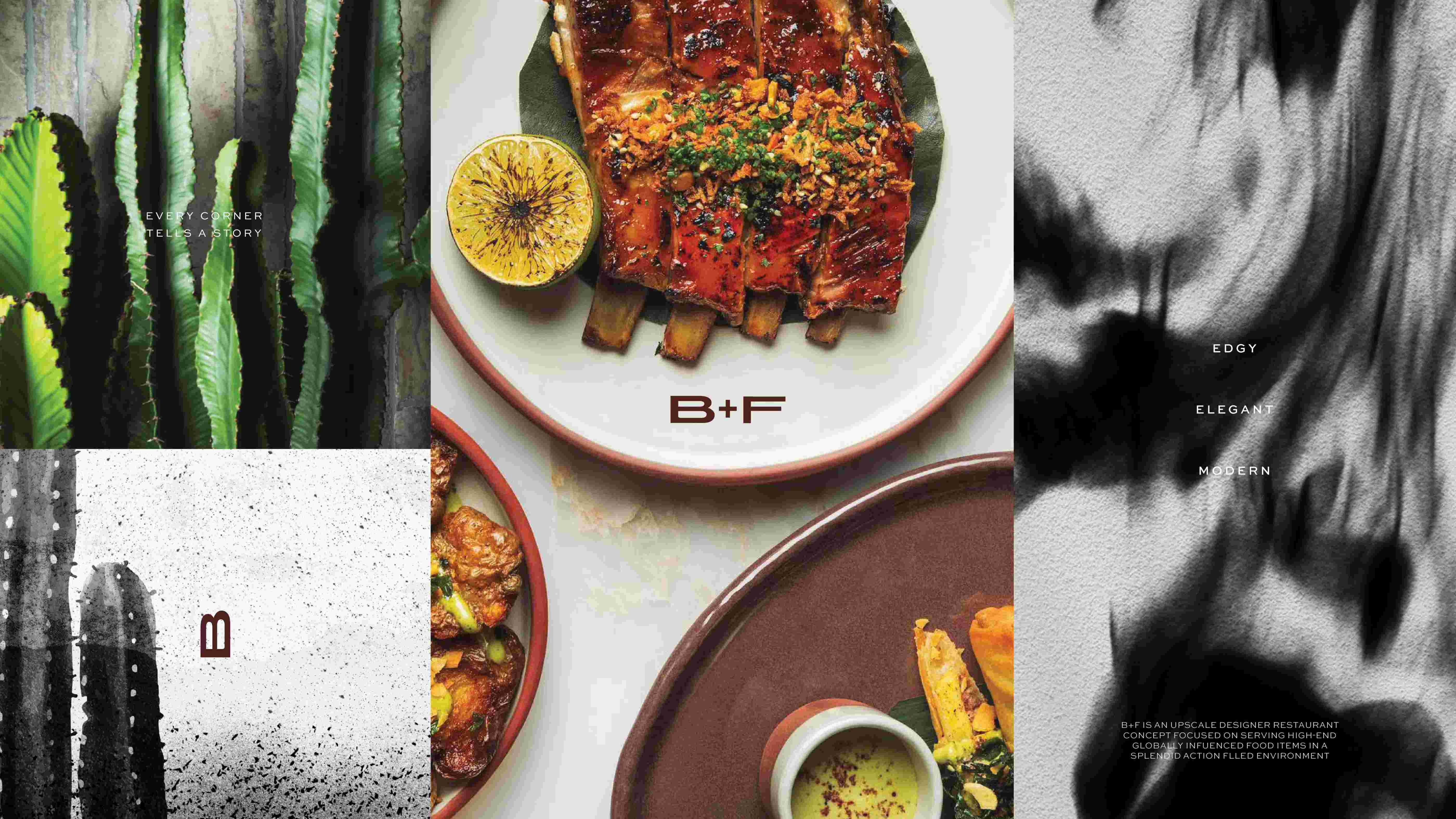 Branding Project for B+F