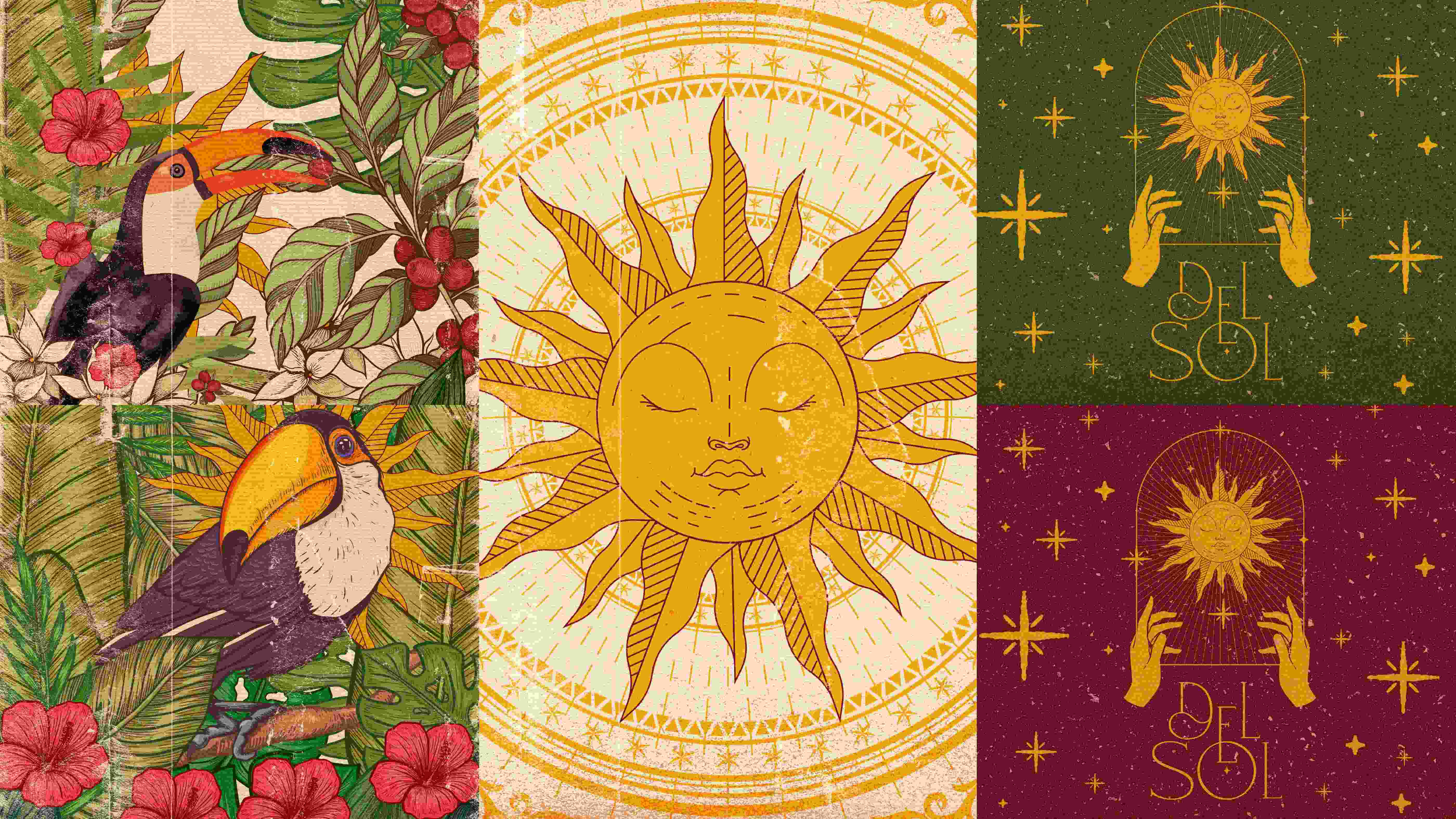Branding Project for Del Sol