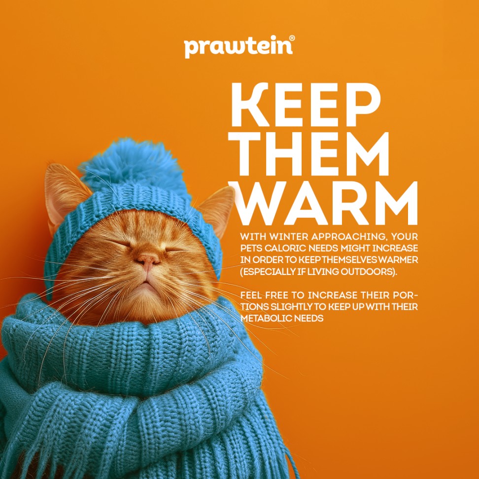 Social Media For Prawtein