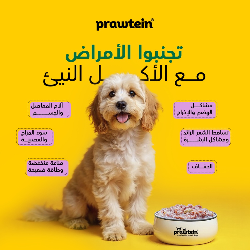 Social Media For Prawtein